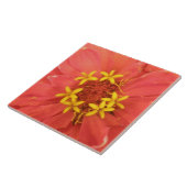 Red Zinnia Macro Tile Fliese (Seite)