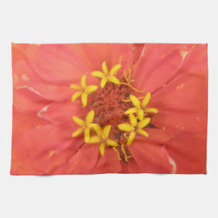 Red Zinnia Makro Küchentücher