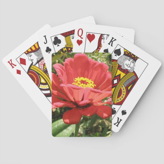 Red Zinnia Playing Cards Spielkarten (Rückseite)