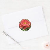 Red Zinnia Stickers (Umschlag)