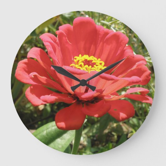 Red Zinnia Wall Clock Große Wanduhr (Vorderseite)