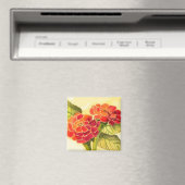Red Zinnias Magnet (In Situ (Geschirrspüler))