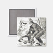 Redaktionelle Cartoon von Charles Darwin 1871 Magnet (Vorderseite/Rückseite)