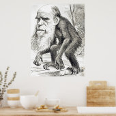 Redaktionelle Cartoon von Charles Darwin 1871 Poster (Küche)