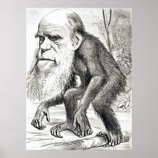 Redaktionelle Cartoon von Charles Darwin 1871 Poster (Vorne)