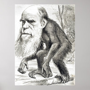 Redaktioneller Cartoon von Charles Darwin 1871 Poster