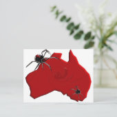 Redback Spider Australia Postkarte (Stehend Vorderseite)