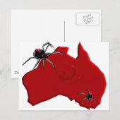 Redback Spider Australia Postkarte (Vorne/Hinten)