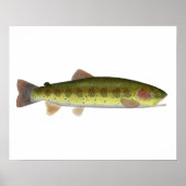 Redband Trout Poster (Vorne)