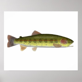 Redband Trout Poster