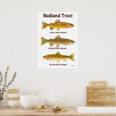 Redband Trout Poster (Küche)