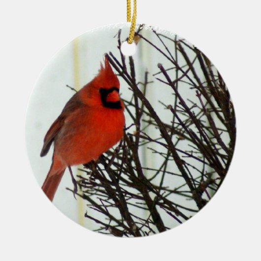 Redbird Keramikornament (Vorne)