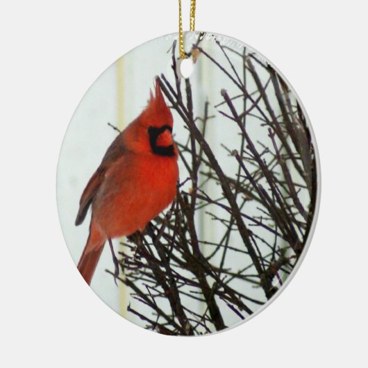 Redbird Keramikornament (Links)