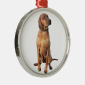 Redbone Coon Hound (A) Silbernes Ornament (Rechts)