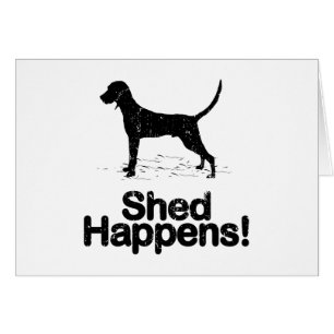 Redbone Coonhound