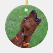 Redbone Coonhound Keramik Ornament (Vorne)