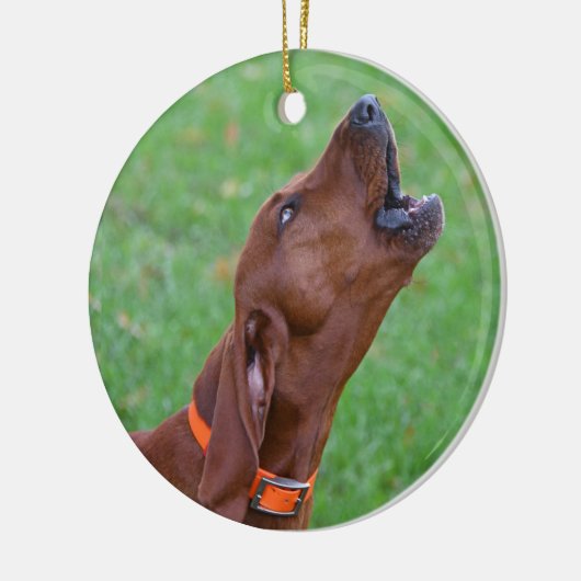 Redbone Coonhound Keramik Ornament (Links)