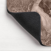 Redbone Coonhound Mousepad (Ecke)