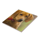 Redbone Waschbär-Jagdhund-Welpe Fliese (Seite)