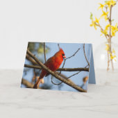 Redboy Watching Karte (Gelbe Blume)