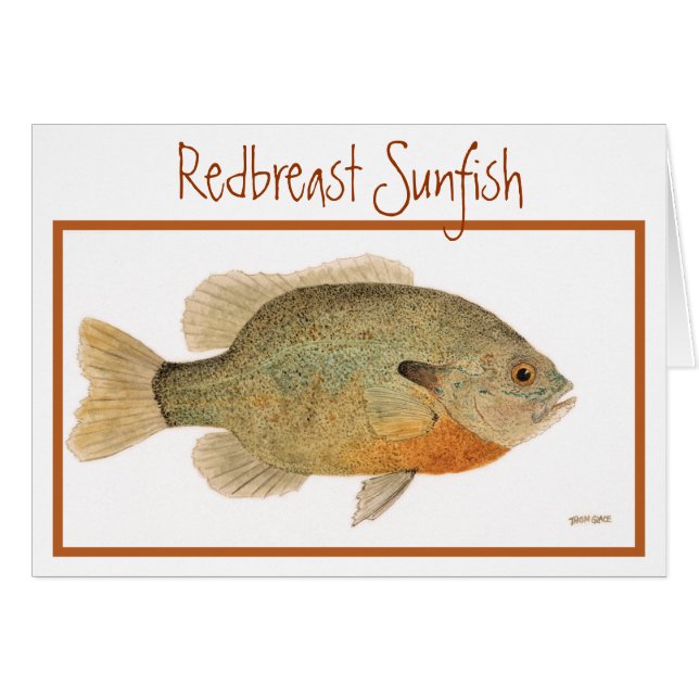 Redbreast Sunfish-Karte (Vorderseite (Horizontal))