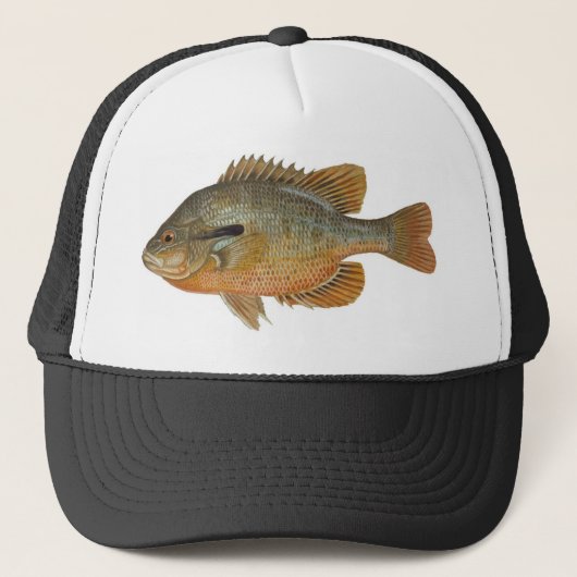 Redbreast Sunfish - Lepomis auritus Truckerkappe (Vorderseite)