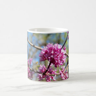 Redbud Baum blüht Kaffeetasse