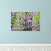 Redbud Bäume in voller Frühjahrsblüte in der Nähe Leinwanddruck (Insitu (Holzboden))