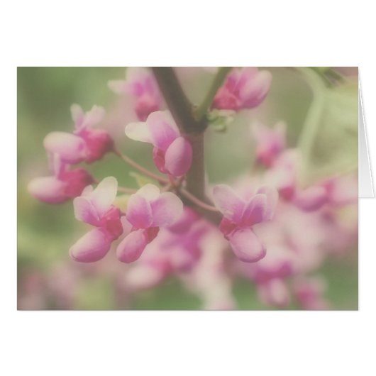 Redbud Blossoms Note Card (Vorderseite (Horizontal))