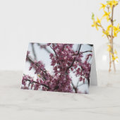 Redbud Blüten, die Frühling sich freuen Karte (Gelbe Blume)