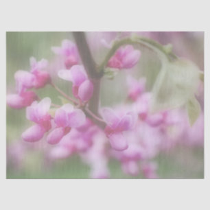 Redbud-Blüten Seidenpapier