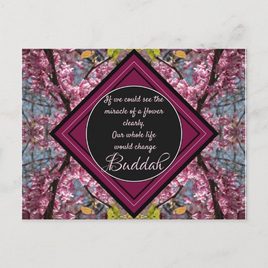 Redbud Branches Budda Blume Zitat Postkarte (Vorderseite)