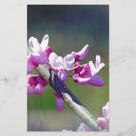 RedBud Briefpapier (Vorderseite)