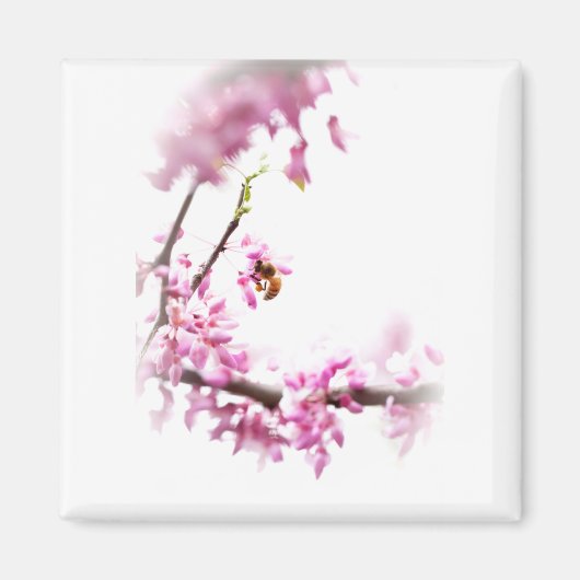 Redbud & Honeybee-8742 Magnet (Vorne)