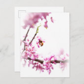 Redbud & Honeybee in Springtime Einladungspostkarte (Vorne/Hinten)