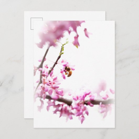 Redbud & Honeybee in Springtime Einladungspostkarte (Vorne/Hinten)