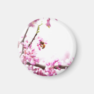 Redbud & Honeybee in Springtime Magnet