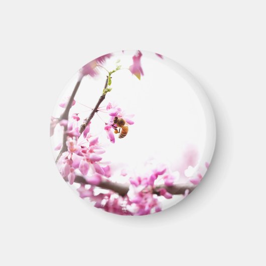 Redbud & Honeybee in Springtime Magnet (Vorne)