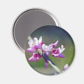 RedBud Magnet (Vorderseite/Rückseite)