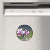 RedBud Magnet (In Situ (Geschirrspüler))