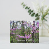 Redbud Missouri Postkarte (Stehend Vorderseite)