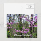 Redbud Missouri Postkarte (Vorne/Hinten)