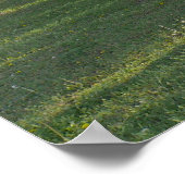 Redbud Tree - El Dorado Lake Kansas Poster (Ecke)