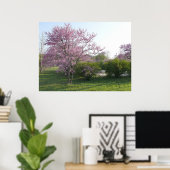 Redbud Tree - El Dorado Lake Kansas Poster (Heimbüro)