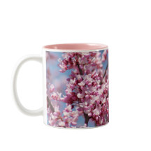 Redbud Tree Pink Floral Bee