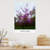 REDBUD TREE-Plakat Poster (Küche)