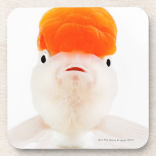 Redcap lionhead Goldfisch (Carassius auratus) Untersetzer