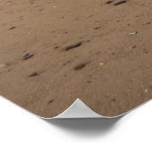 Redcar Beach and Beacon Poster (Ecke)