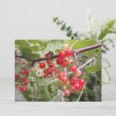 Redcurrant Feiertagskarte (Stehend Vorderseite)