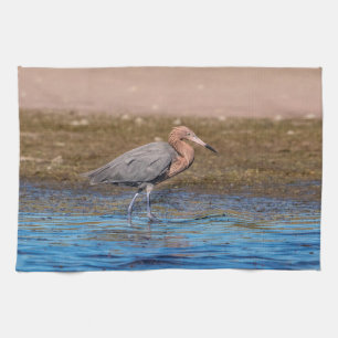 Reddish Egret am North Beach Handtuch